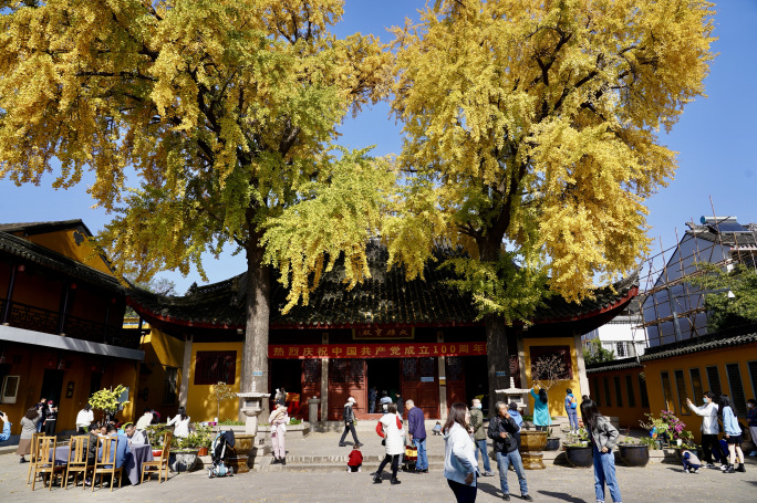 苏州定慧寺古银杏树（航拍）