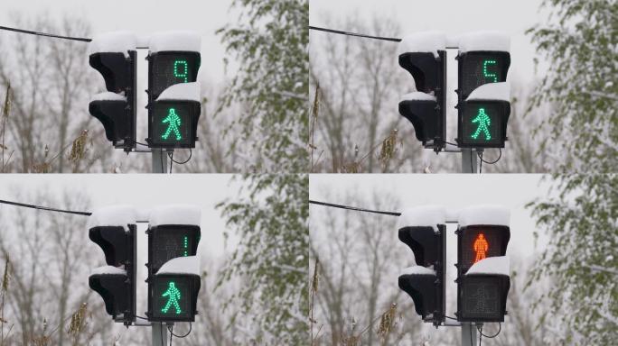 中国东北冬天里积雪的红绿灯