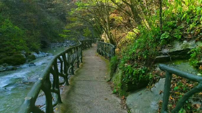 森林山涧栈道水流溪流甬道峡谷秦岭山水