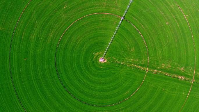 犹他州圆形农田的旋转无人机拍摄。