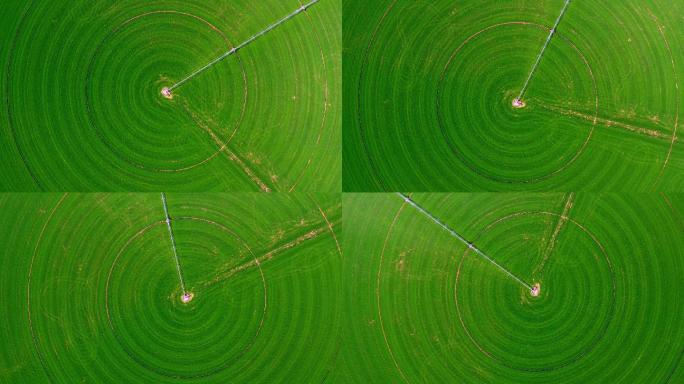 犹他州圆形农田的旋转无人机拍摄。