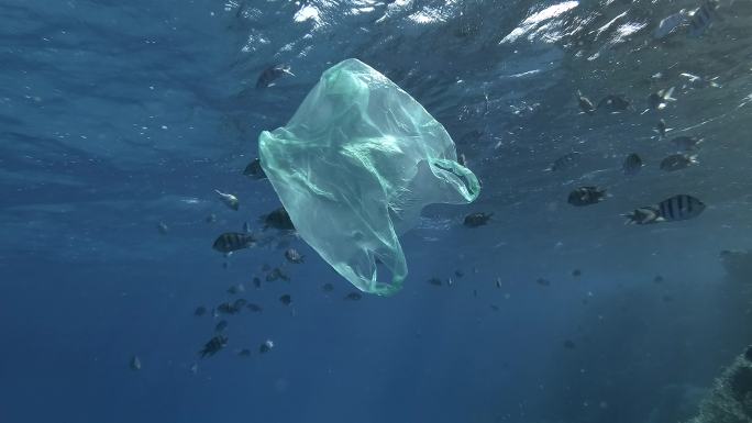 海洋垃圾环境保护危害破坏