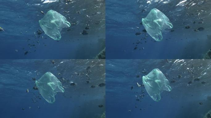 海洋垃圾环境保护危害破坏
