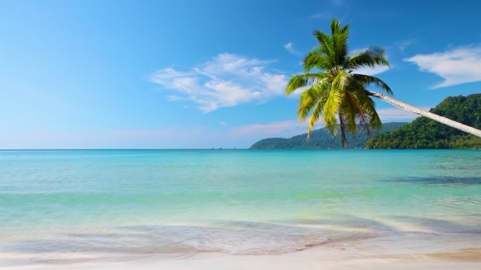 热带自然海岸风光轻松度假沙滩棕榈