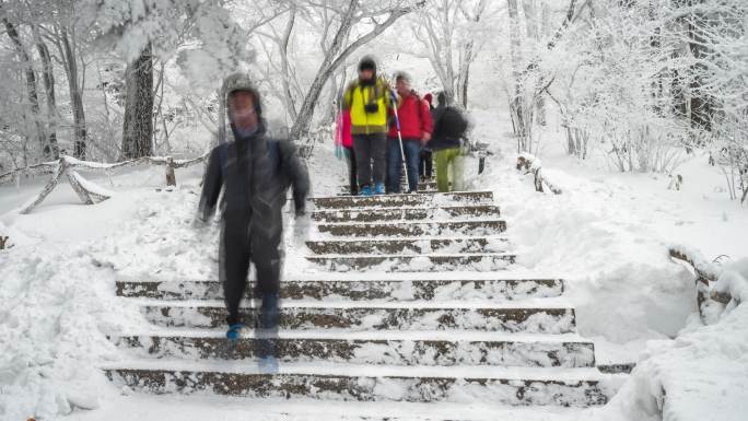 雪景视频素材