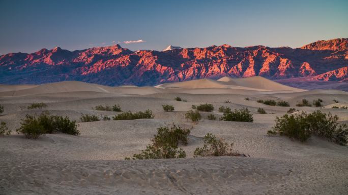 美国加州死亡谷国家公园的牧豆树沙丘。