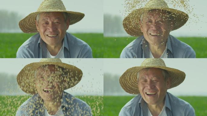 中国农民自己种地丰收秋收收获笑脸升格特写