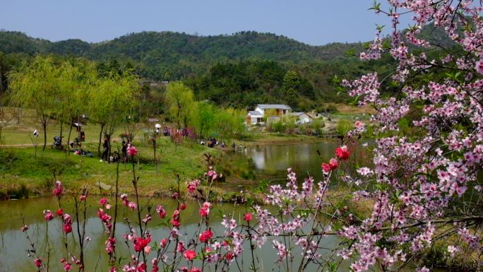 乡村振兴 诗意村庄 民宿 帐篷