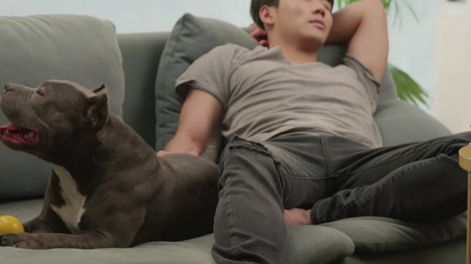 年轻男子和宠物狗在沙发上休息