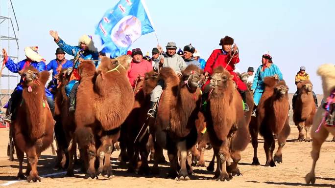 骆驼节开幕式及骆驼阿音