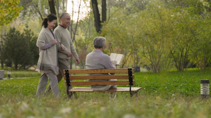 老年人在公园读书老龄化社会老年生活退休生