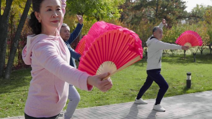 老年人在公园练太极