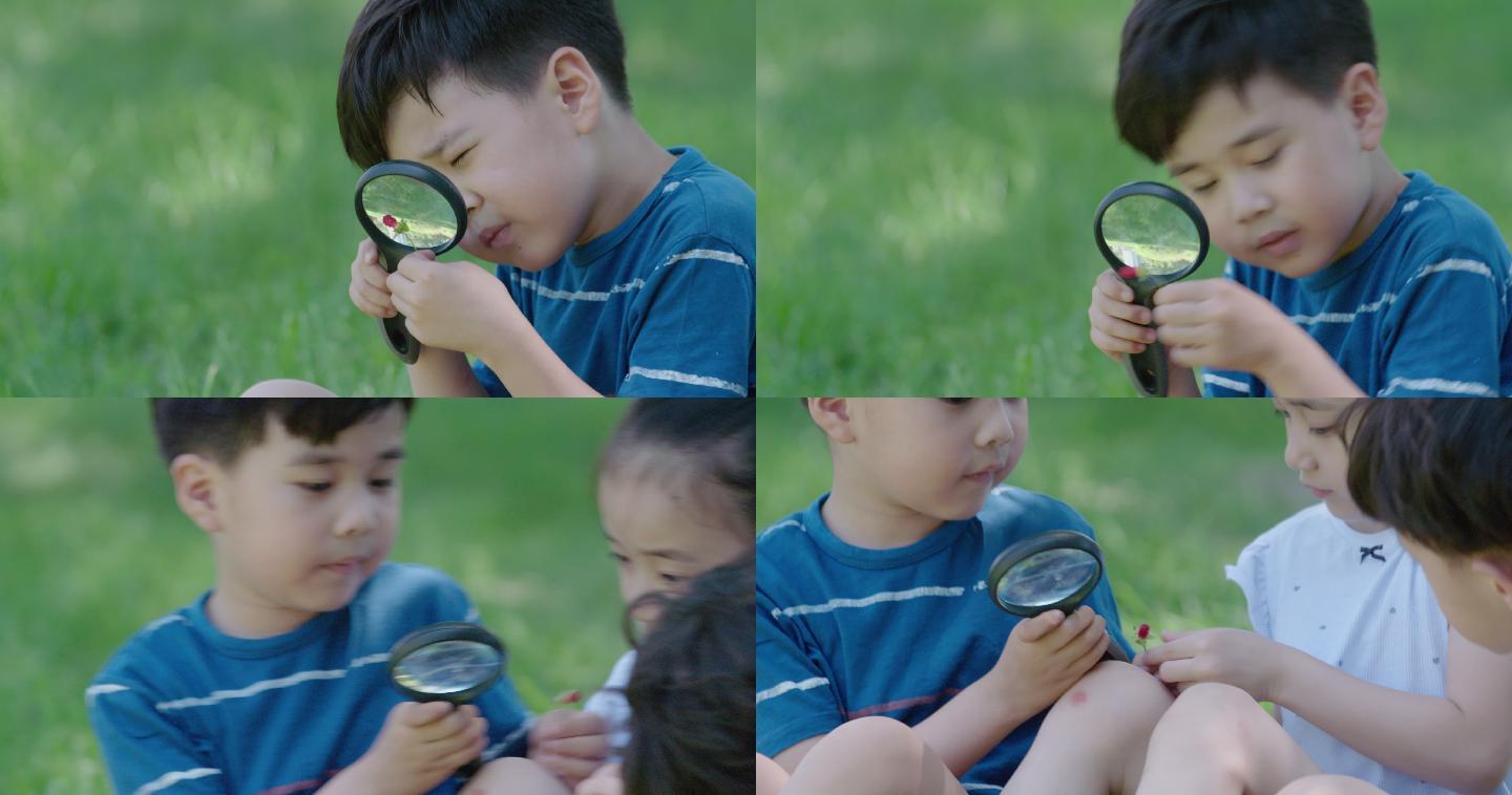 孩子们在公园玩耍凹透镜发现放大