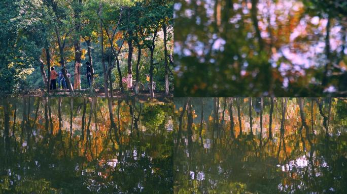 秋天湖面水中的唯美倒影，水波荡漾4k视频