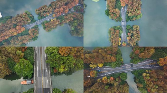 4K航拍高清风景视频 杭州西湖杨公堤秋天