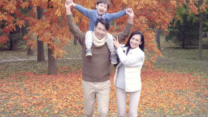 快乐年轻家庭在秋日树林里玩耍