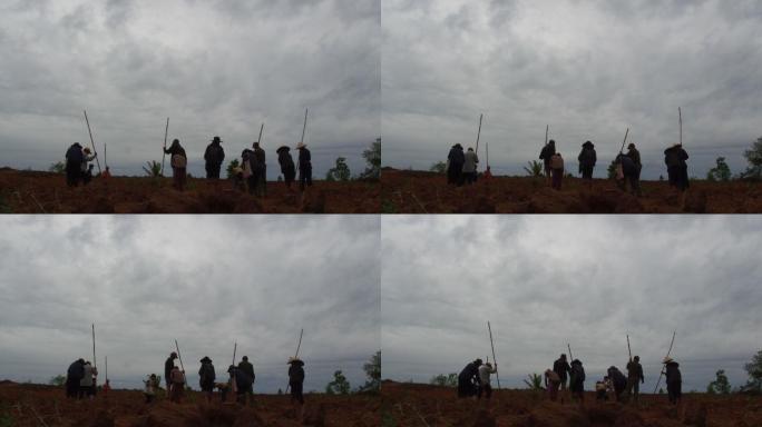 老挝农民在田地里播种