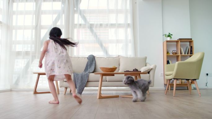 快乐的小女孩在客厅和狗玩耍