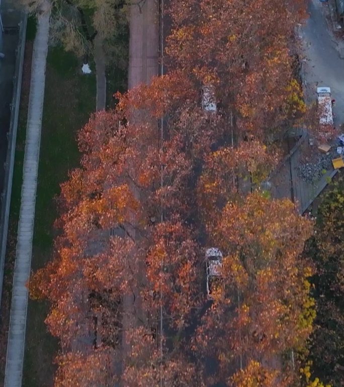 航拍南京江北最美道路太子山路