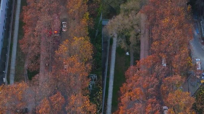 航拍南京江北最美道路太子山路