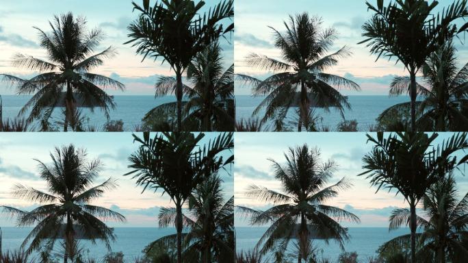 海边黄昏景色椰子树三亚海南