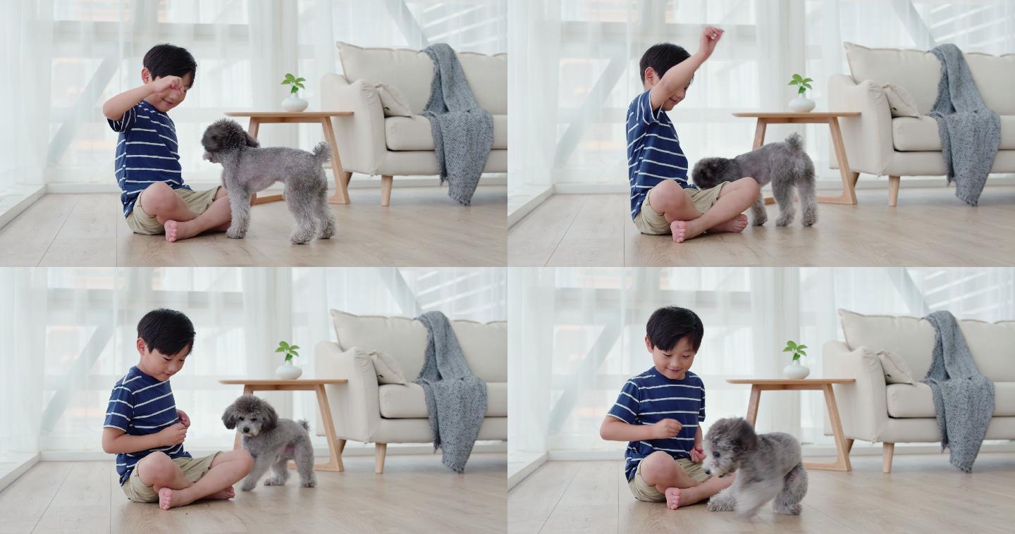 快乐的小男孩在客厅和狗玩耍