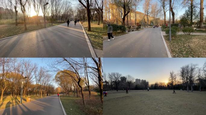 济南森林公园冬日夕阳