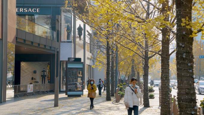 城市街头行人、汽车行驶