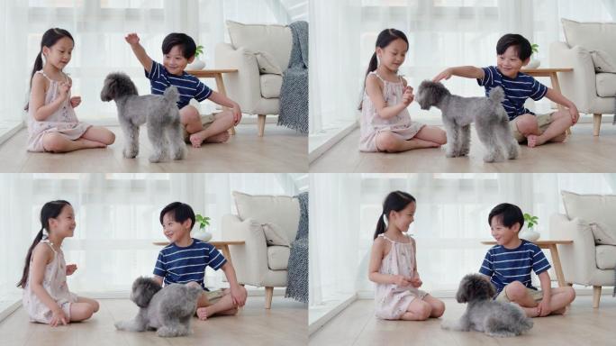 快乐的姐弟俩在客厅和狗玩耍