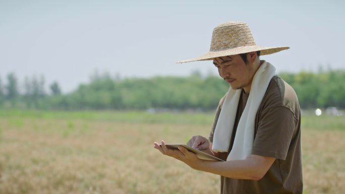 农民在麦田里使用平板电脑