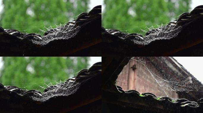 下雨天瓦房屋檐蜘蛛网露珠雨景