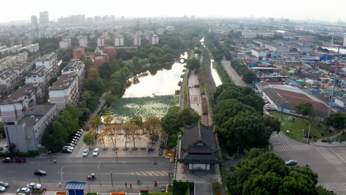 宁波镇海招宝山后海塘景观带公园绿化
