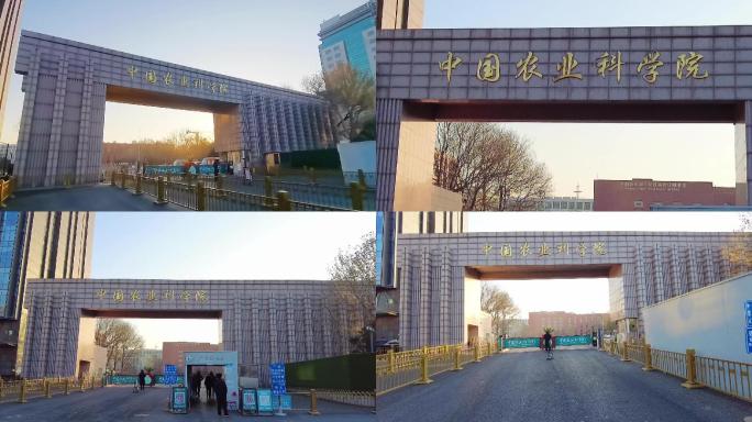 农科院 中国农业科学院 北京地标建筑
