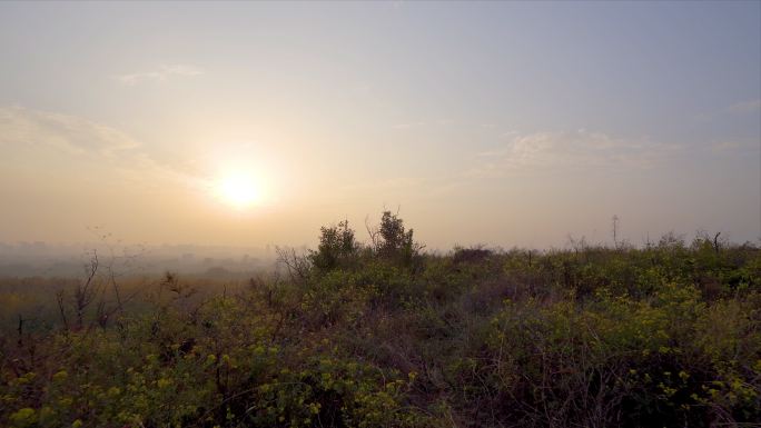 山坡上的夕阳黄昏