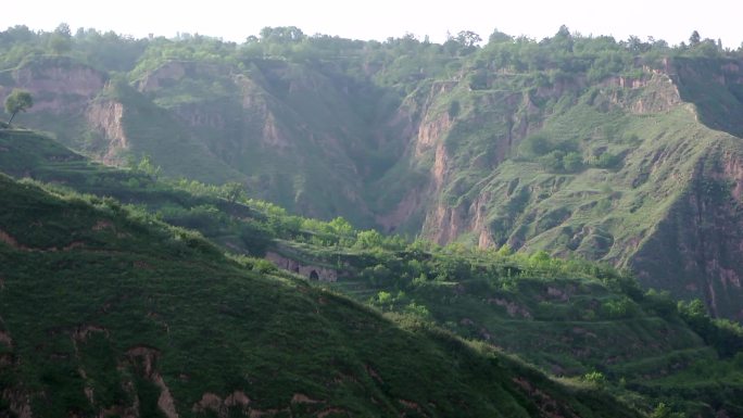 黄土高原地貌