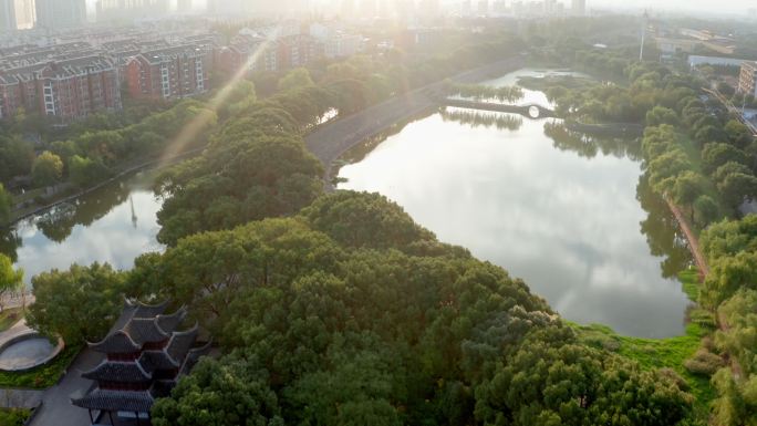 宁波镇海招宝山后海塘景观带公园绿化