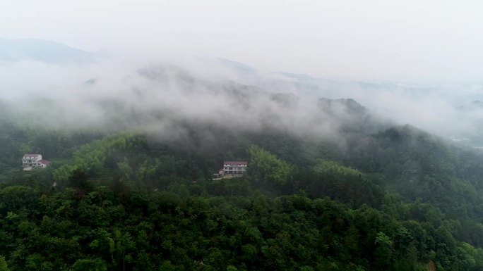 雾气朦胧的大山风景 鸟瞰大山森林氧吧