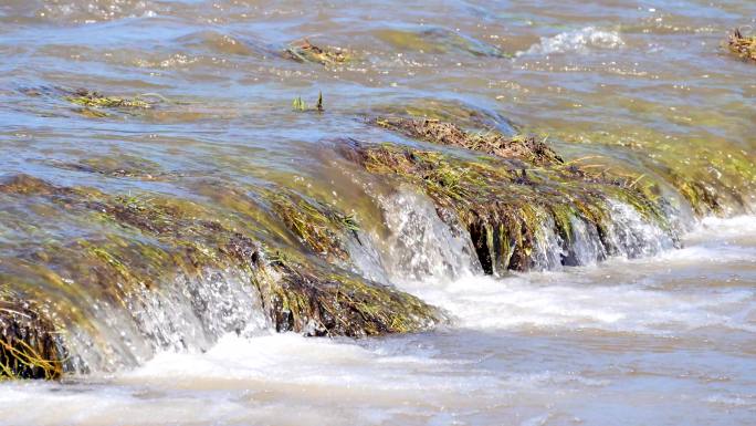 草原、溪流、河水