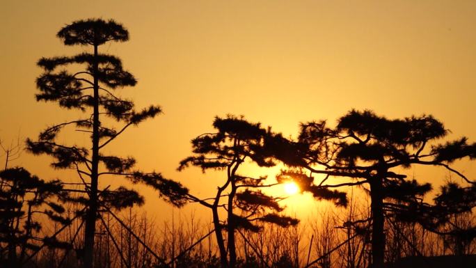 乡村日出冬天的太阳 早晨清晨