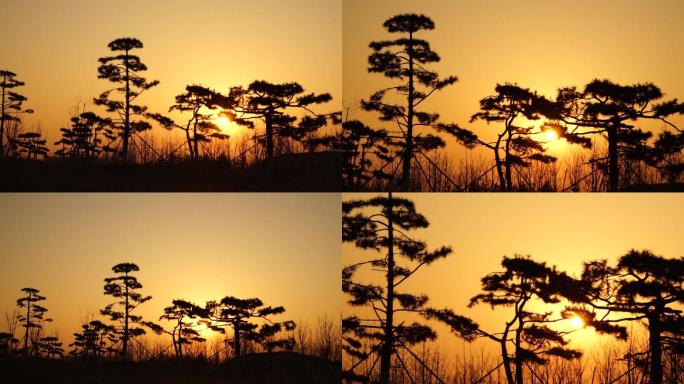 乡村日出冬天的太阳 早晨清晨