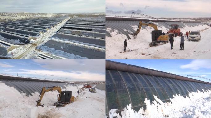 暴雪天气设施农业受灾人们铲雪救援