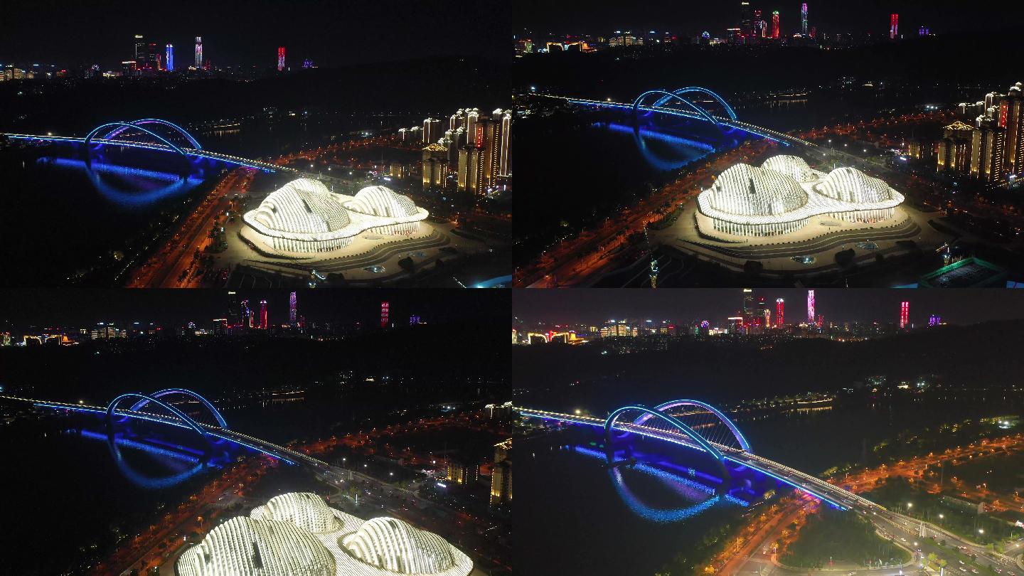 广西艺术中心 南宁大桥