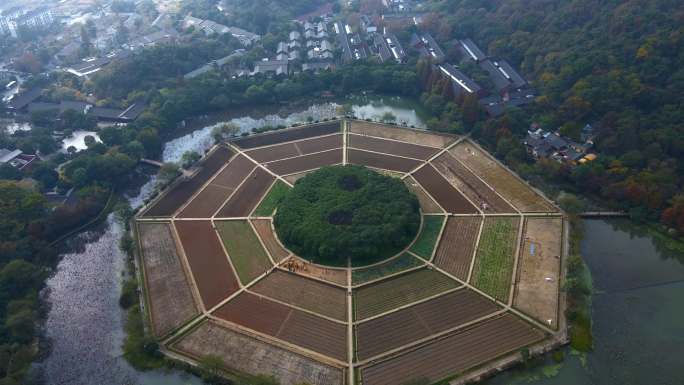 杭州八卦田遗址航拍风景