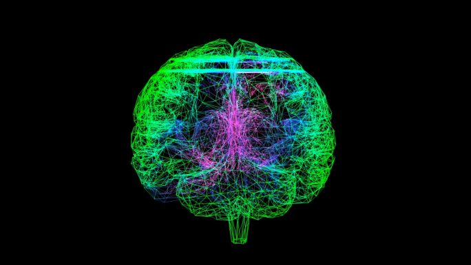 高科技数字化5G上下扫描人大脑HUD01