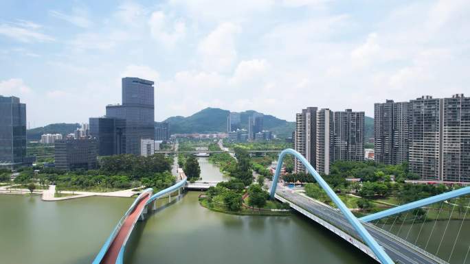 广州南沙蕉门河双桥飞向区政府