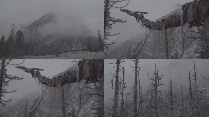 雪山脚下 一组空镜