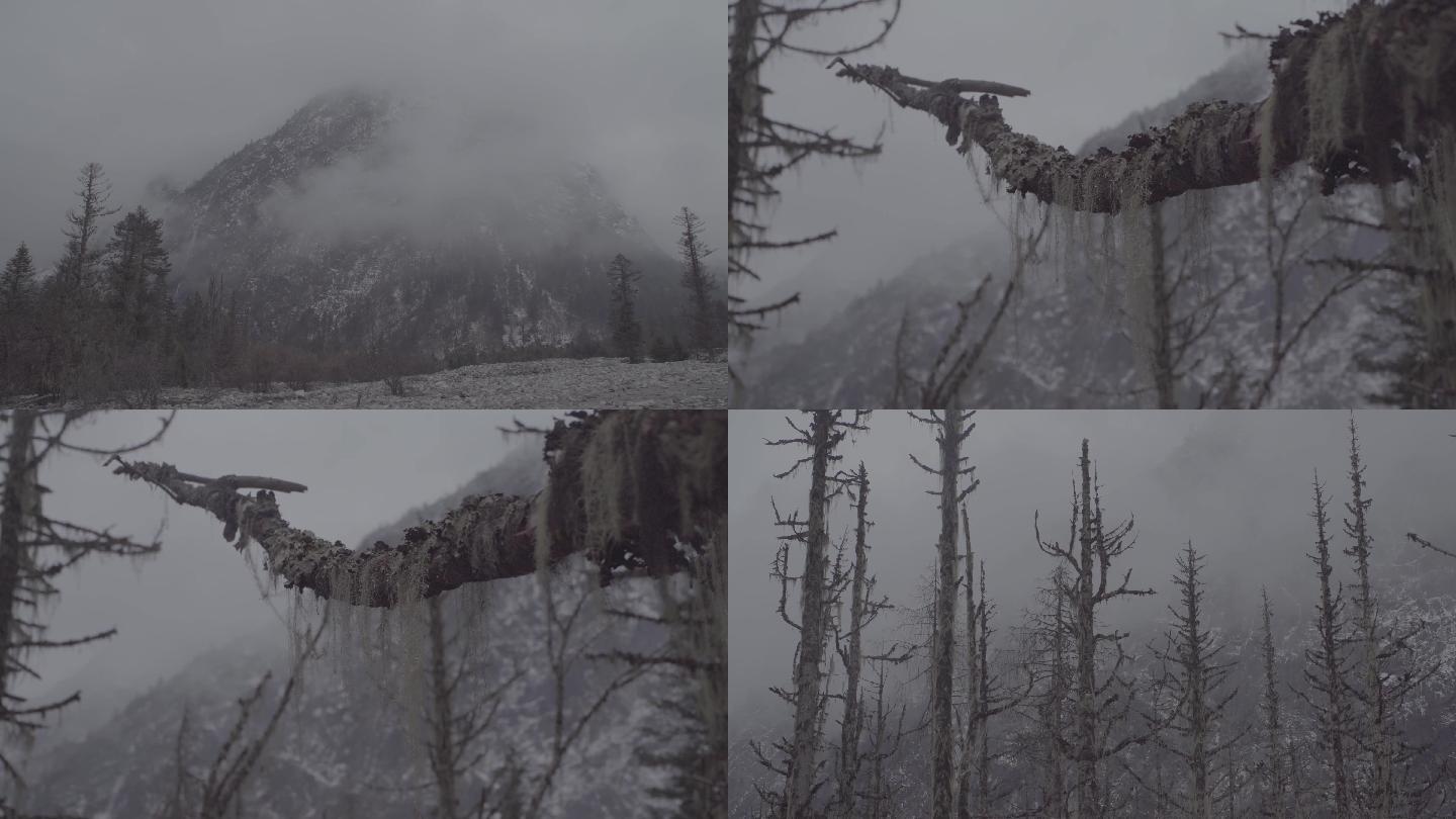 雪山脚下 一组空镜