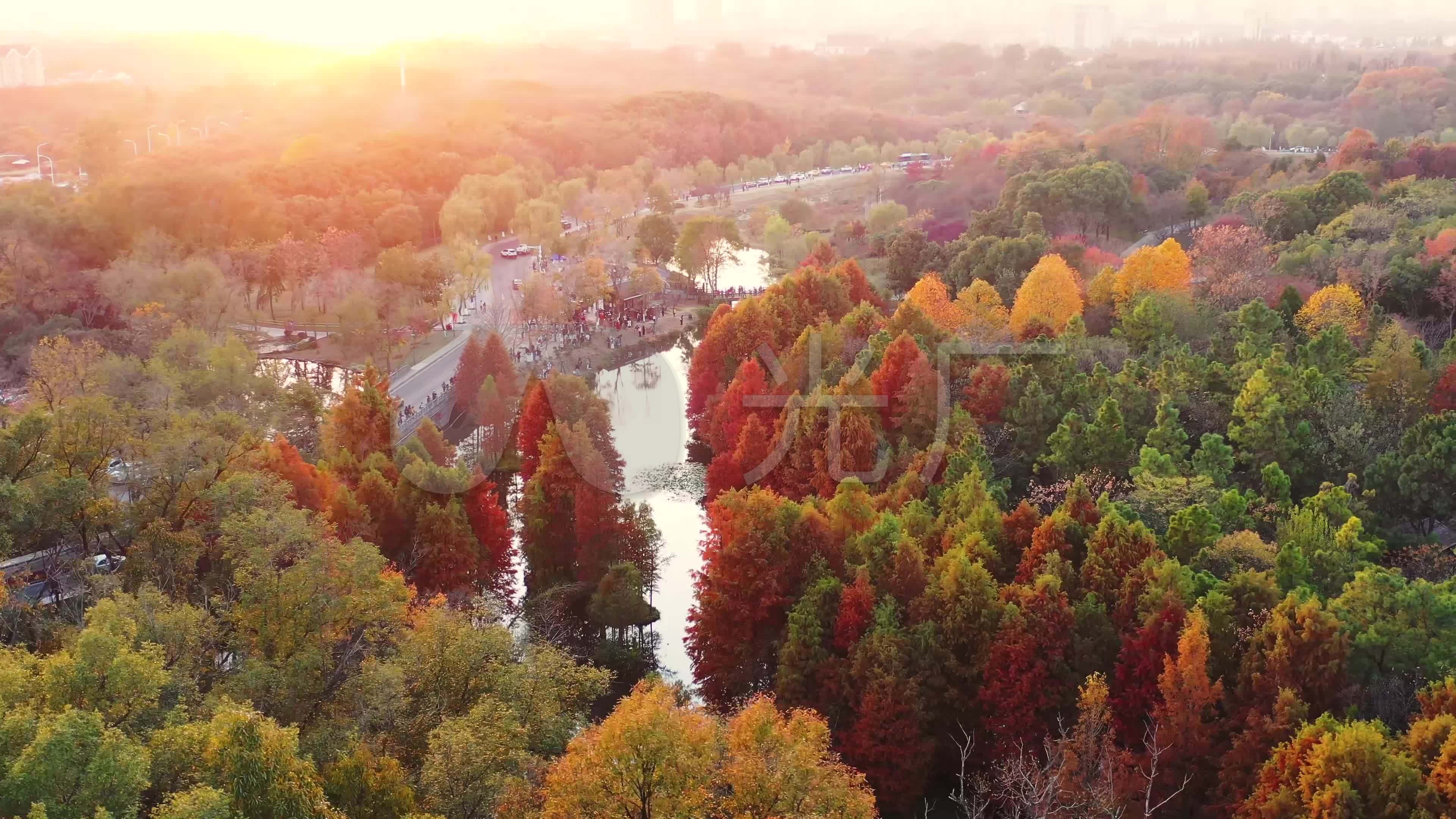 【携程攻略】南京明孝陵景点,作为南京人，秋季的明孝陵也是魅力十足。秋天一定要来明孝陵感受秋季…
