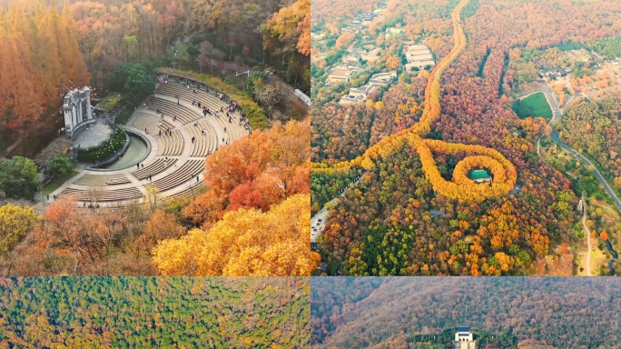 南京秋季紫金山地标航拍4K宣传片