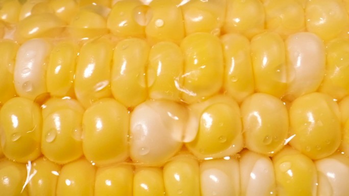 水果玉米视频